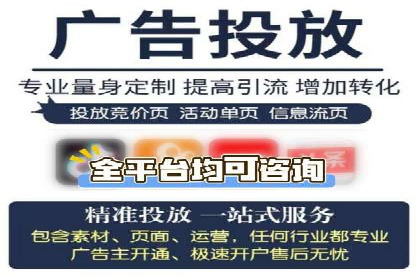 百度SEM广告投放效果评估的案例分析